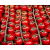 Tomaat tros cherry