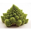 Romanesco