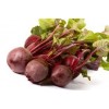 Bieten Rood los