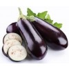 Aubergine