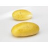 Aardappelen Charlotte(fr) 1kg