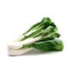 Pak-choi
