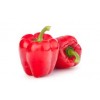 Paprika Rood