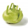 Koolrabi