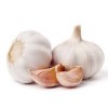 Knoflook