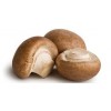 Champignons kastanje