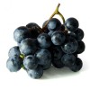 Druif blauw