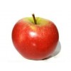 Appel Elstar
