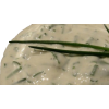 01 KNOFLOOKSAUS