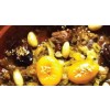 Tajine royale kalf