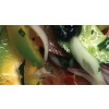 Salade Maroc