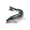Zalm heel 