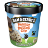 Ben & Jerry's Peanut Butter Cup
