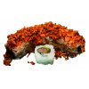 Crunchy Beef Rol