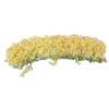 Tempura Mango bief rol ( *** New*** )