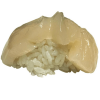 Hotategai nigiri