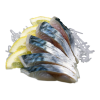 Saba sashimi