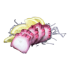 Tako sashimi