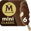 Magnum 6 ijsjes