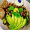 The Mooshka Salad bowl