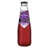 CASSIS