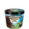 Ben & Jerry's Chocolate Fudge Brownie 100ml