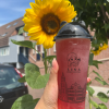 Watermelon tea 500ml