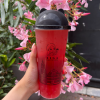 Framboos ice tea 500ml