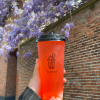 Red guava ice tea 500ml