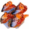 Ichiban Roll (4 stuks)