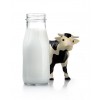 Schoolbeker karnemelk