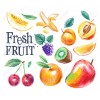 Vers fruit mandarijn